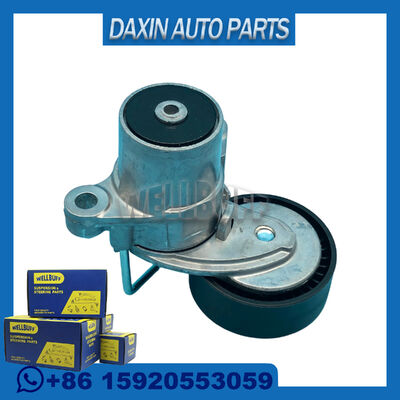 OEM 2431347 CM5Q-6A228-BA 포드 포커스 세일런용 벨트 스트레셔너